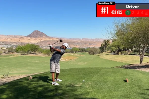 Negreanu won US$5K playing golf in a bet against Wasserson - CodigoPoker