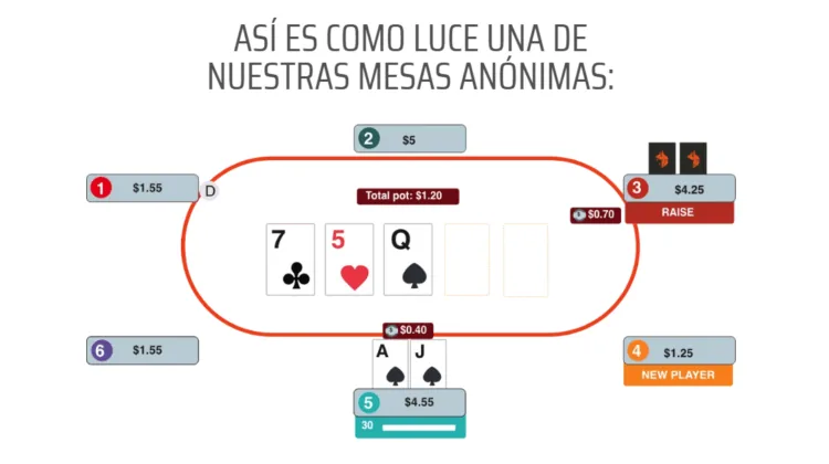 Anonymous Tables And Fair Play At Ignition Poker
