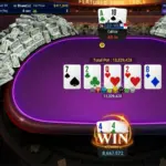 He qualified for 10 dollars and became the GGMillion$ champion